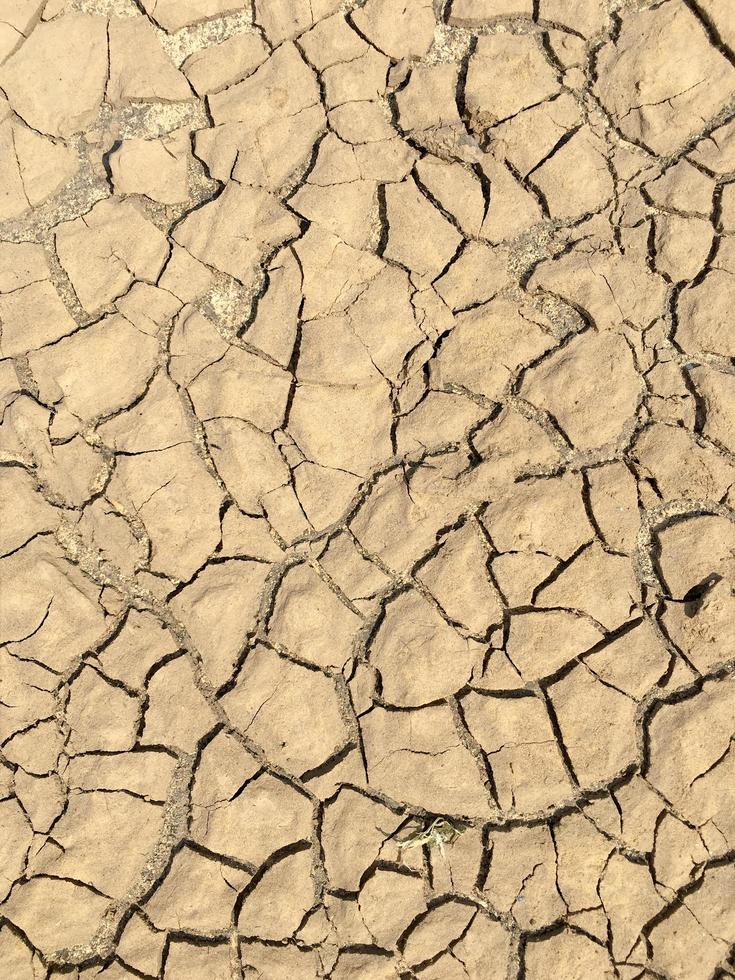 Top view closeup weathered texture and background of arid cracked ground photo