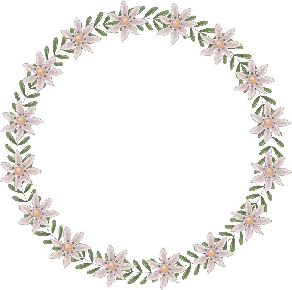 Vector wreath of wild daisies and green leaves of acacia. The frame has a place for text inside.