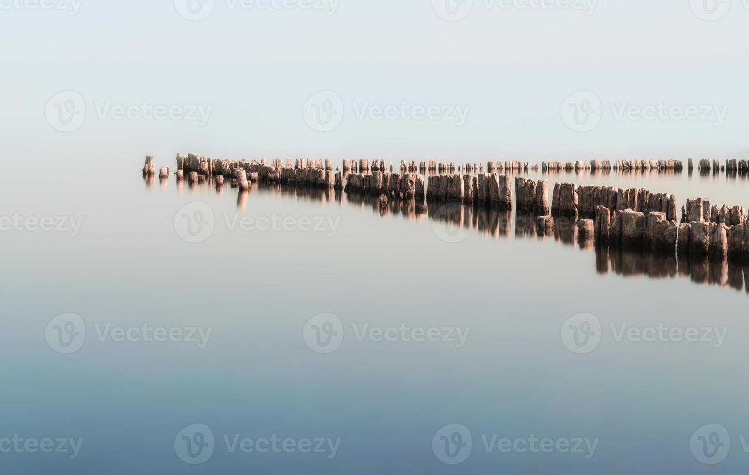 Old wooden sticks in water photo