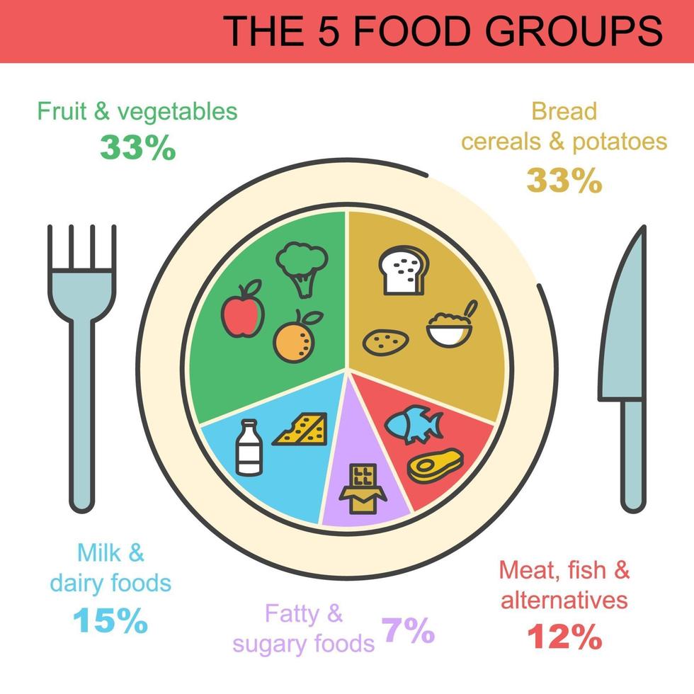 los 5 grupos de alimentos vector