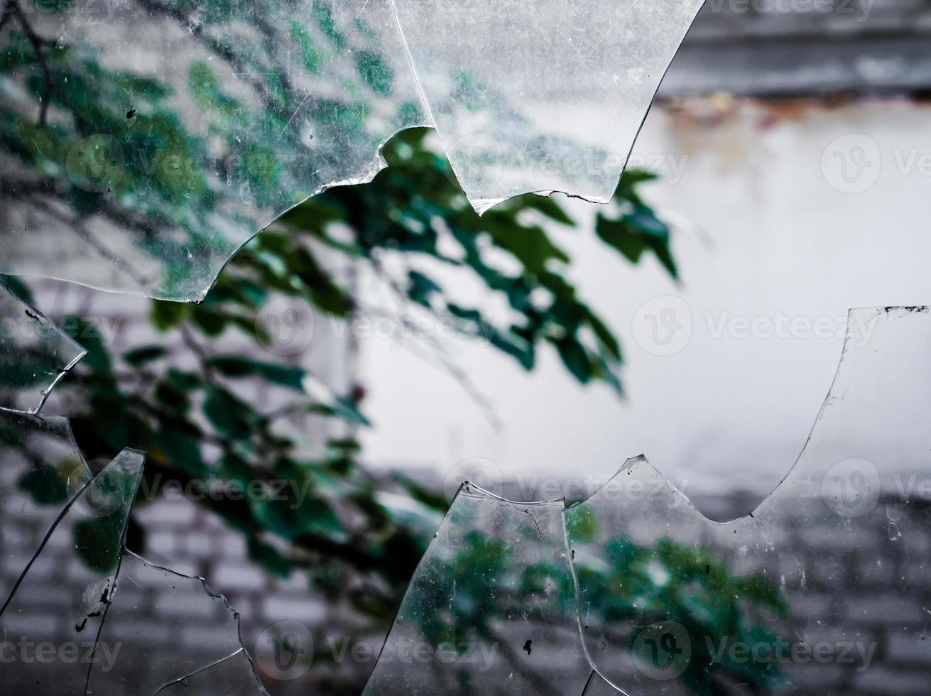 View of a tree branch through broken glass photo