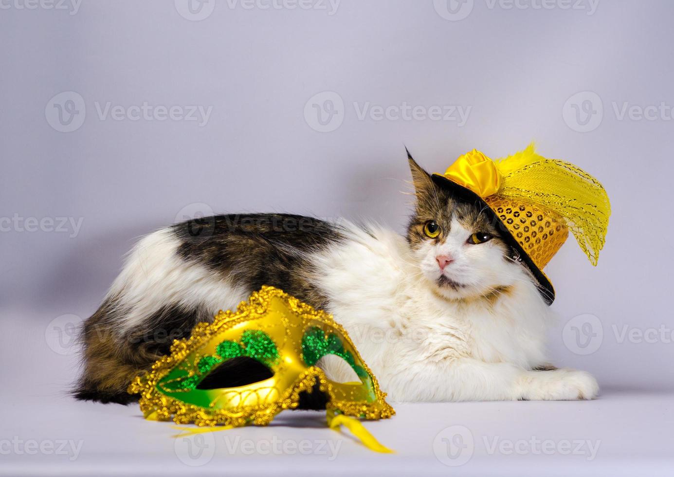 Cat in a hat with a mask photo