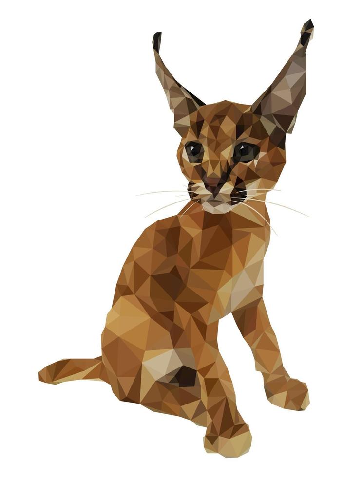 Vector illustration in low polygon style. Kitten caracal.