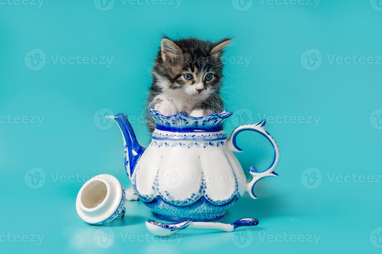 Kitten in a teakettle photo