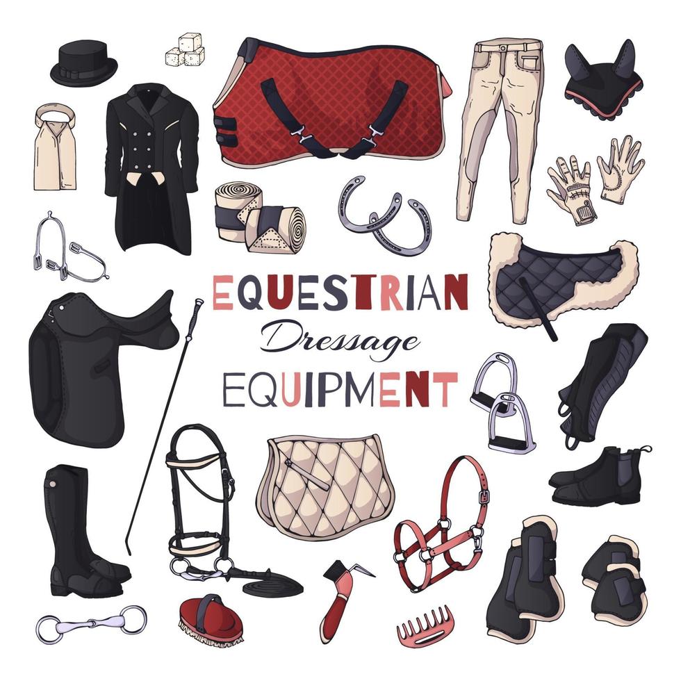 Vector illustrations on the equestrian equipment theme. Dressage.