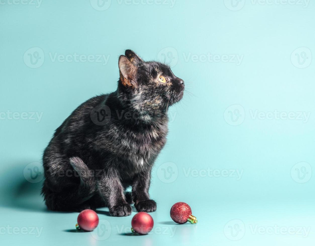 Dark calico cat with Christmas baubles photo