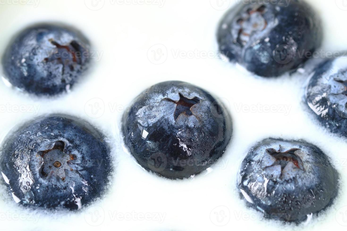 Blueberries in fresh yogurt photo