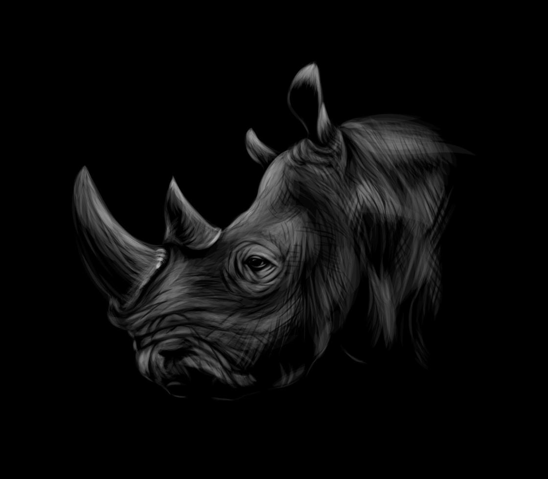 Portrait of a rhinoceros head on a black background. Vector illustration