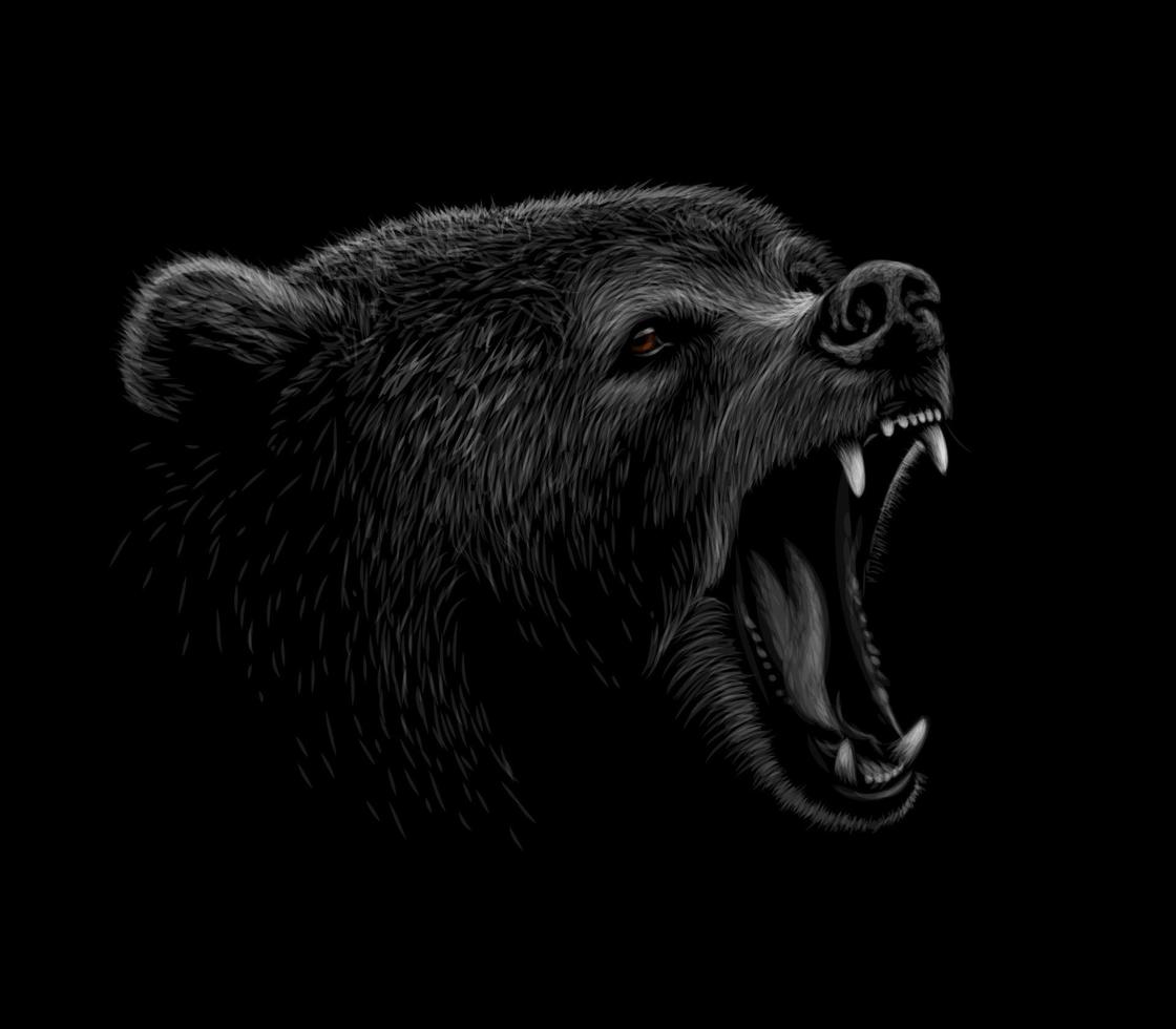 Portrait of a brown bear head on a black background. Grin of a bear. Vector illustration