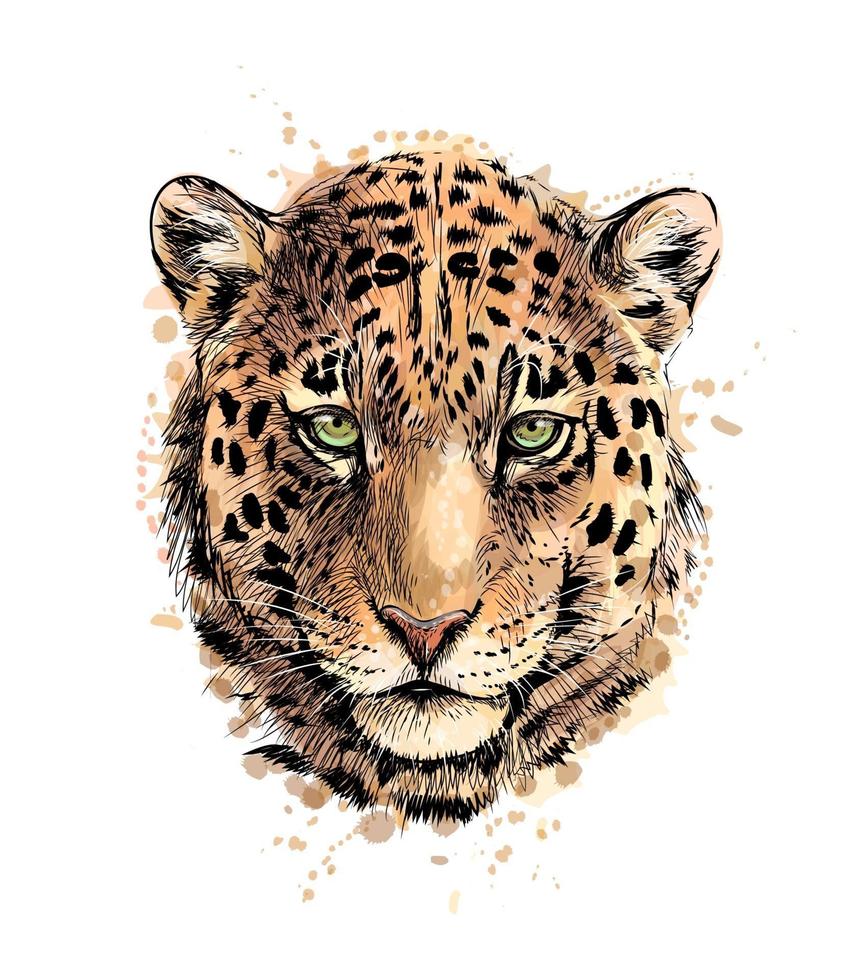 Portrait of a leopard head from a splash of watercolor, hand drawn sketch. Vector illustration of paints