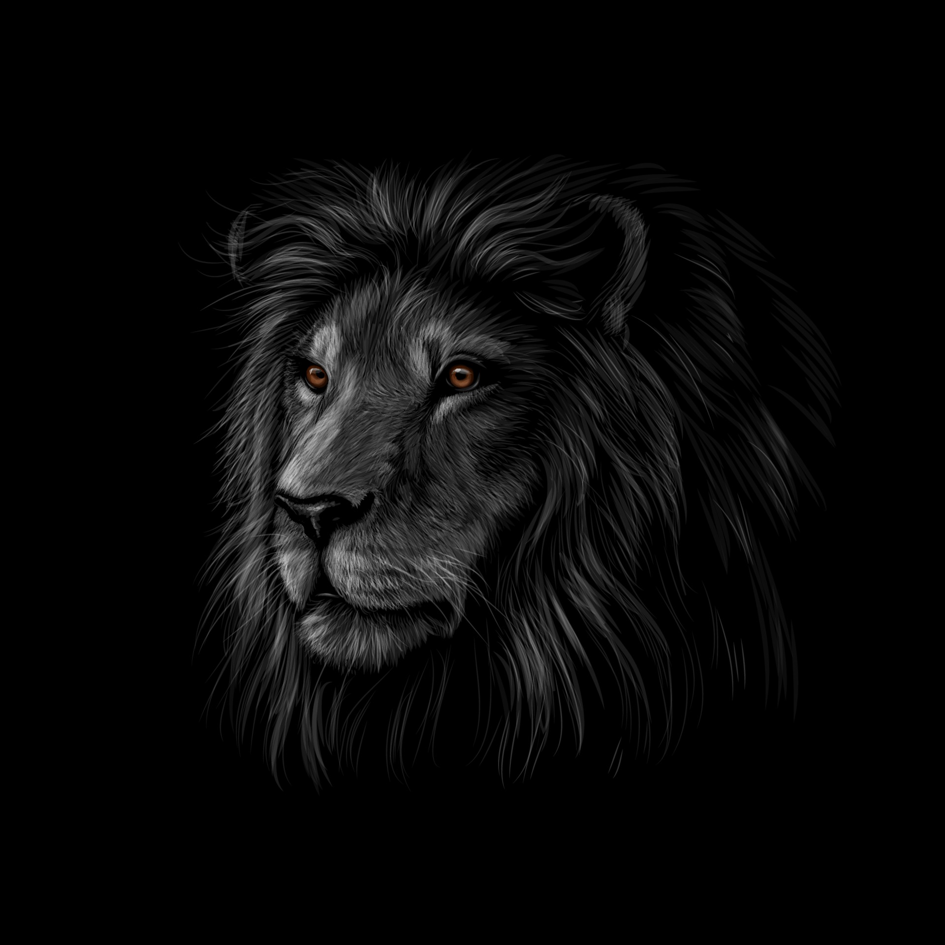 Portrait of a lion head on a black background. Vector illustration