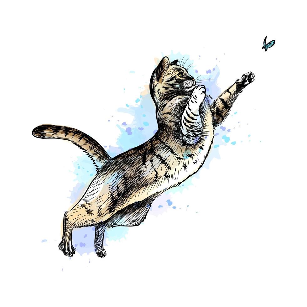 Cat playing with a butterfly from a splash of watercolor, hand drawn sketch. Vector illustration of paints