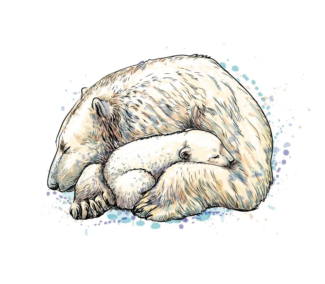 Polar bear with cub from a splash of watercolor, hand drawn sketch. Vector illustration of paints