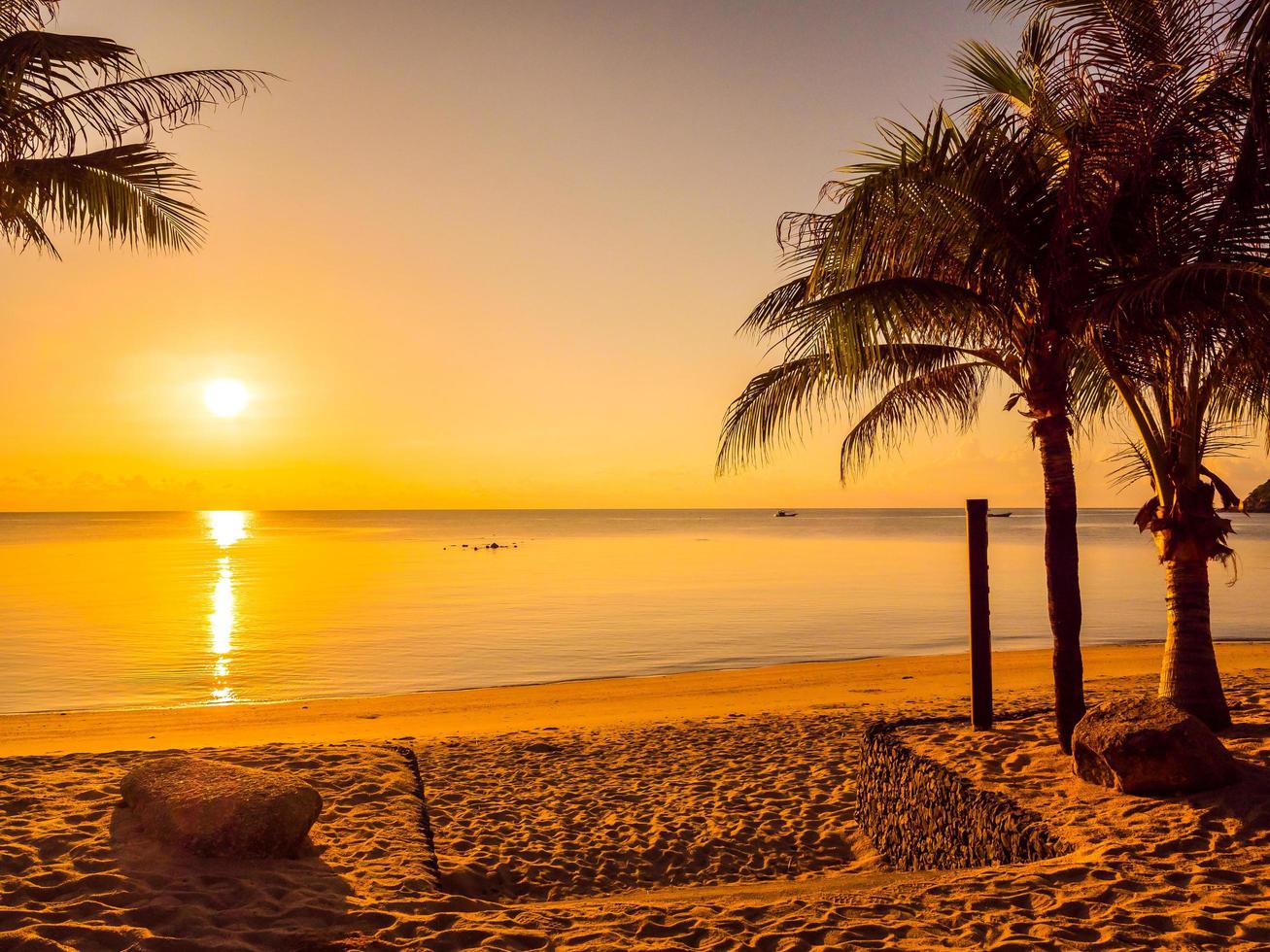 hermosa playa tropical foto