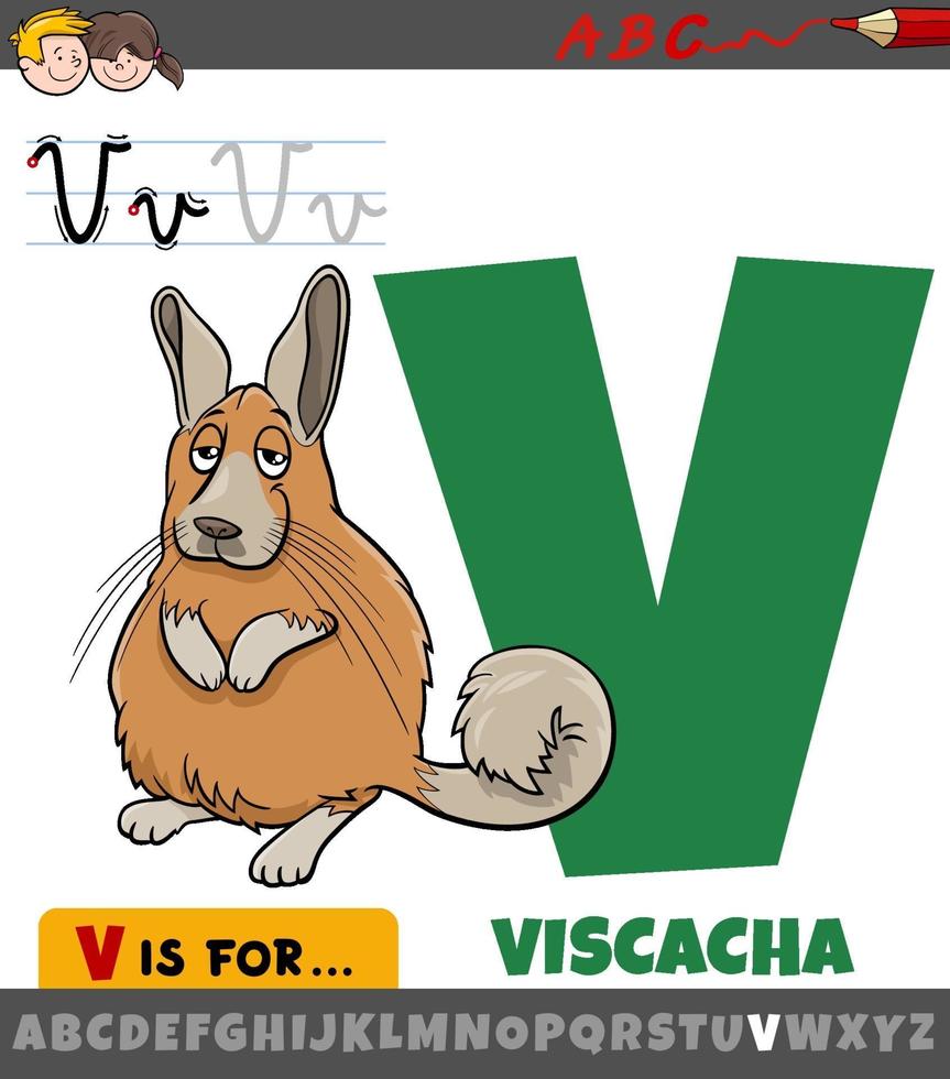 Letra v del alfabeto con personaje animal de vizcacha de dibujos animados vector