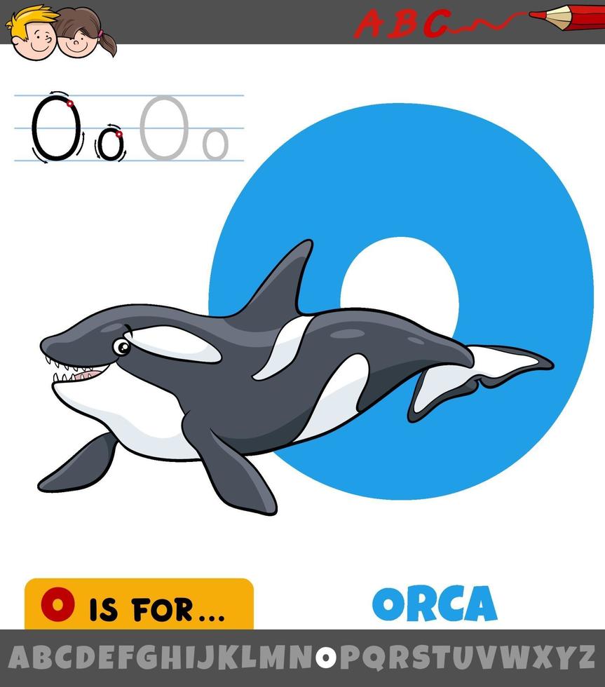 Letra o del alfabeto con carácter animal orca vector