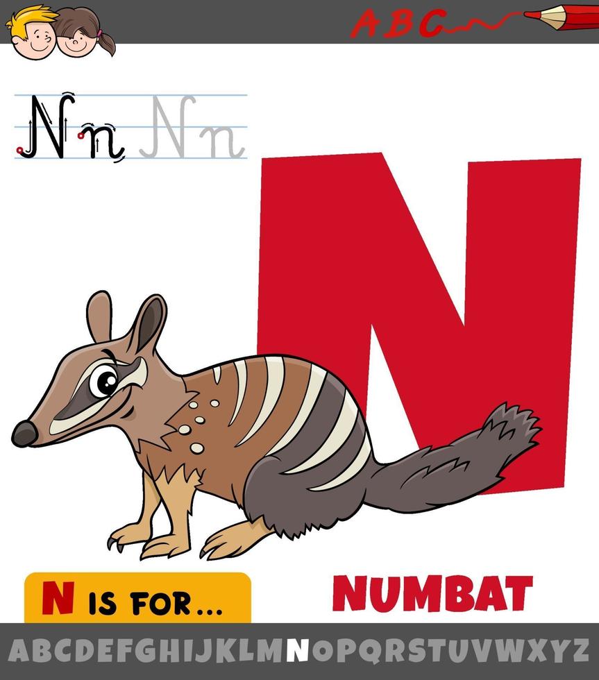 Letra n del alfabeto con personaje animal numbat de dibujos animados vector