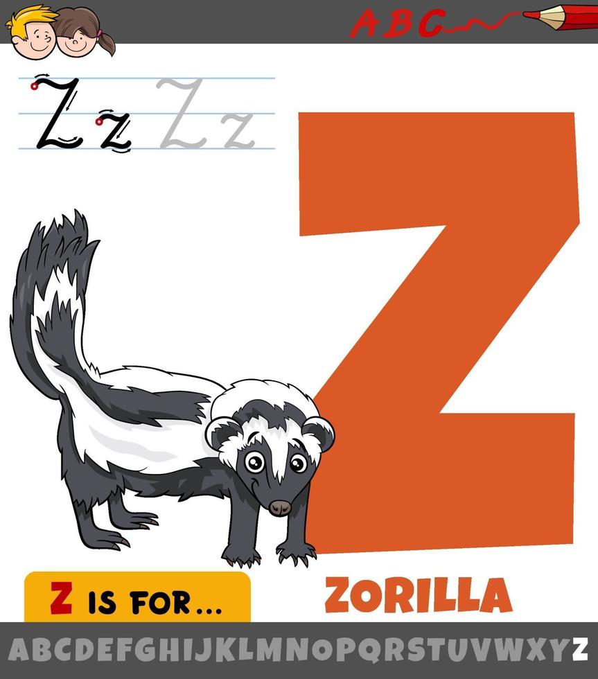 Letra z del alfabeto con personaje animal de dibujos animados zorilla vector