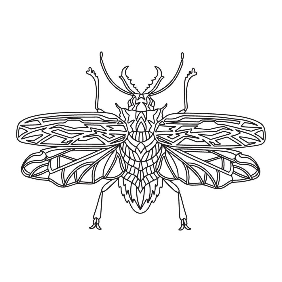 Beetle Brazilian woodcutter coloring book. Woodcutter beetle linear vector illustration. Anti-stress coloring book for adults and children. Hand-drawn doodle coloring book.