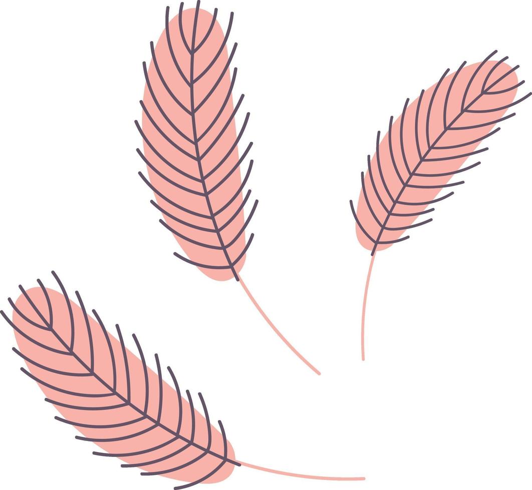 Birds feather. Chicken or goose feather vector