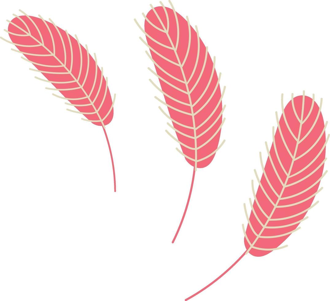 Birds feather. Chicken or goose feather vector