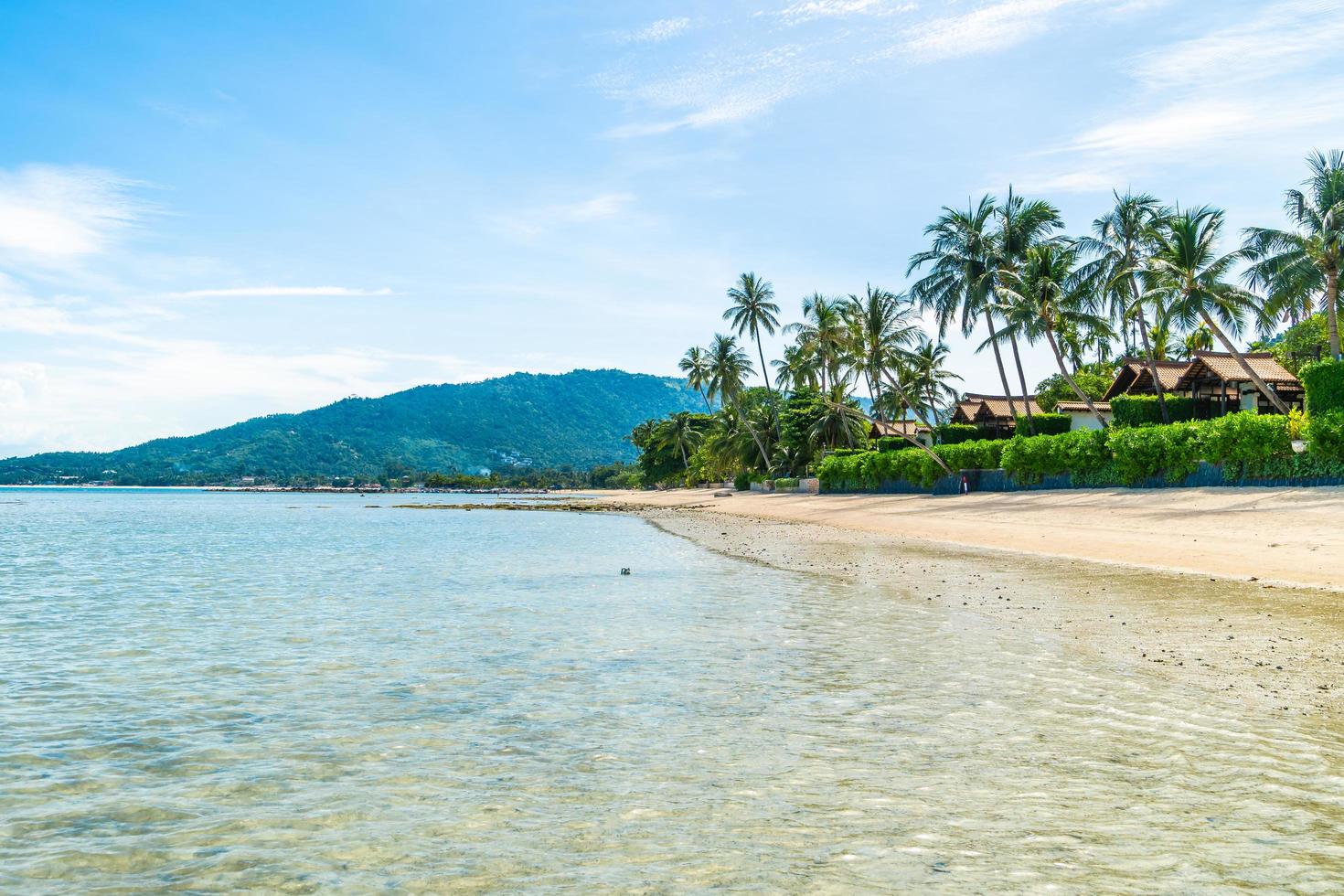 hermosa playa tropical foto