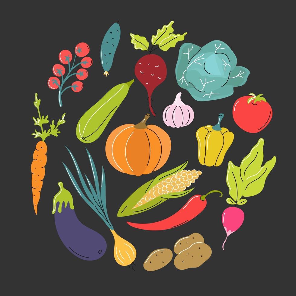 Vegetables in a circle on a dark gray background. Healthy natural food. Vector flat image