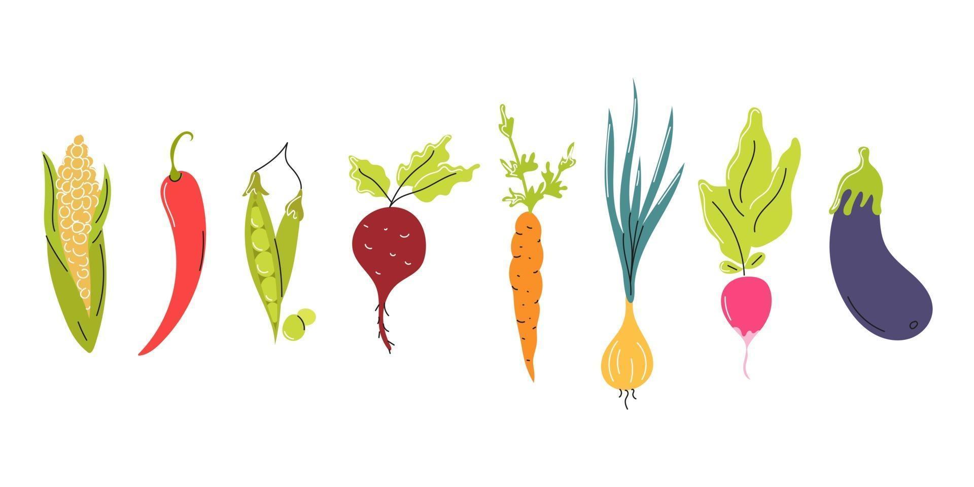 conjunto de verduras frescas dispuestas en una fila sobre un fondo blanco. comida natural, vegetarianismo. vector de imagen plana, icono