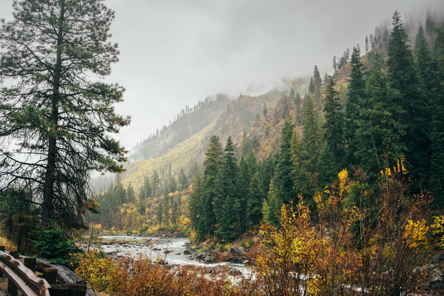 Foggy mountain view photo