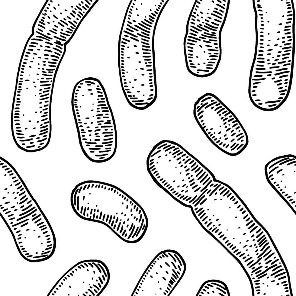 Bacterium pattern in realistic sketch stile. Hand drawn medical background. Vector illustration