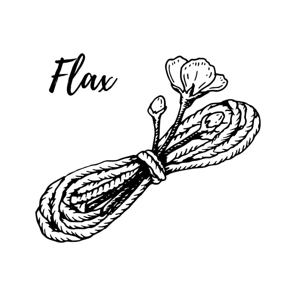 Hand drawn skein of linen thread with flax flower isolated on white. Vector illustration in sketch style