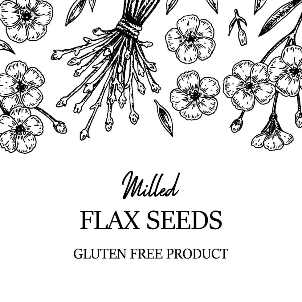 marco de lino dibujado a mano. ilustración vectorial en estilo boceto para semillas de lino y envases de aceite vector