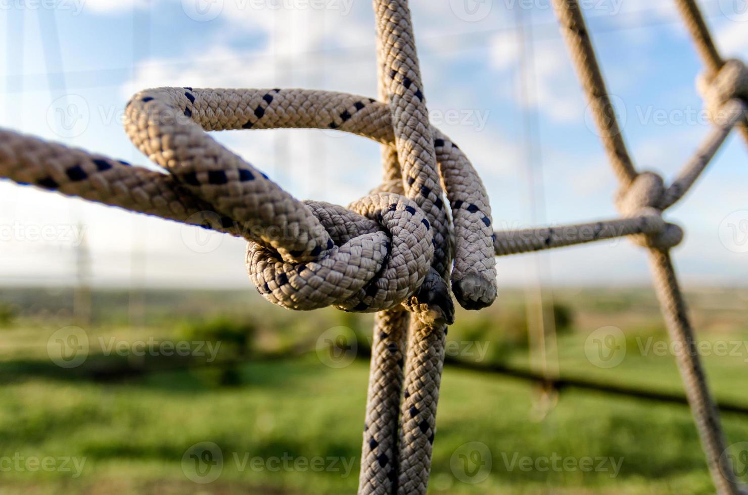Knots in rope photo
