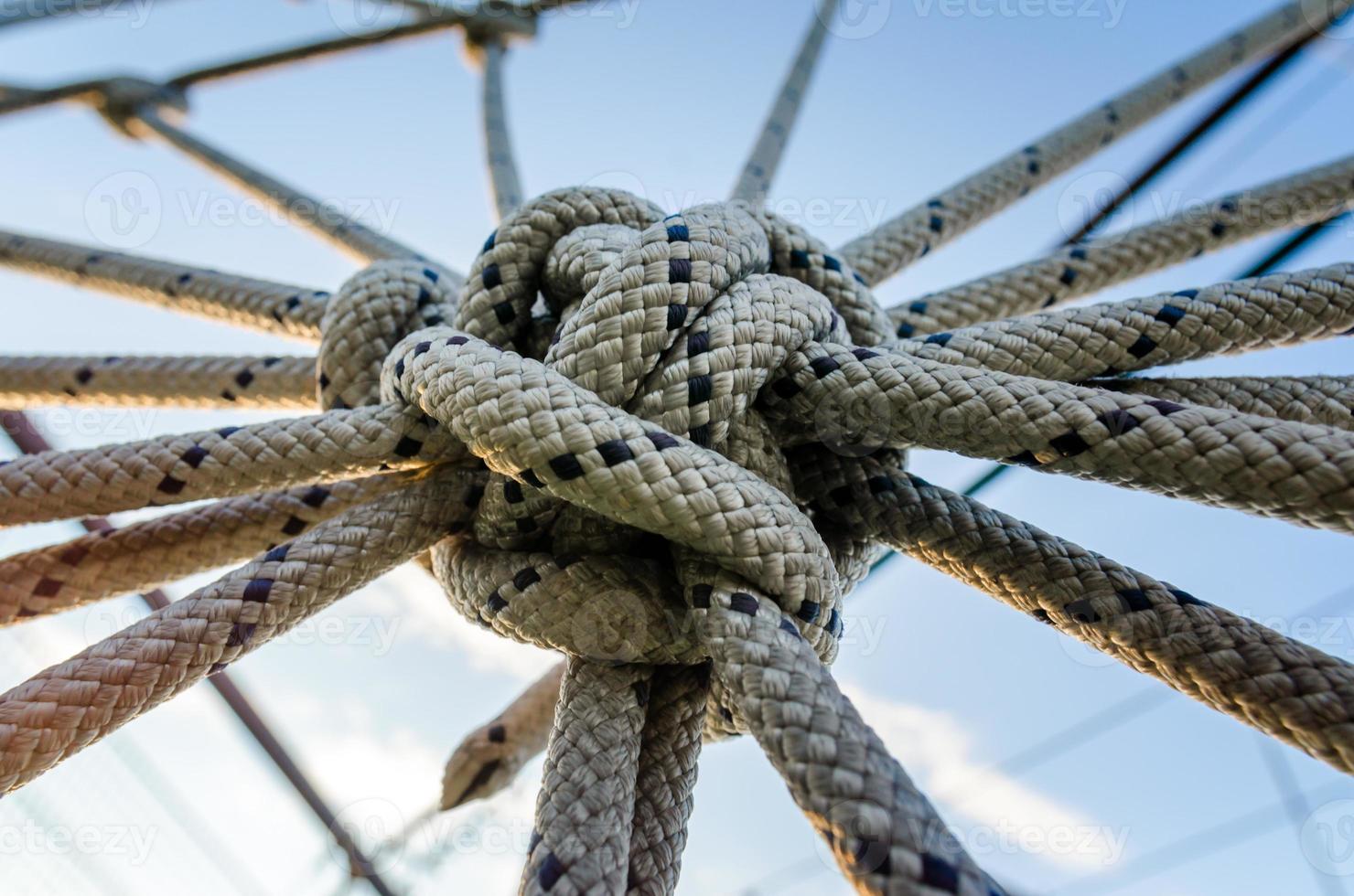 Close-up of a knot photo