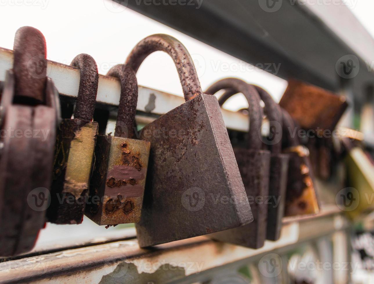 Rusty padlocks on fence photo