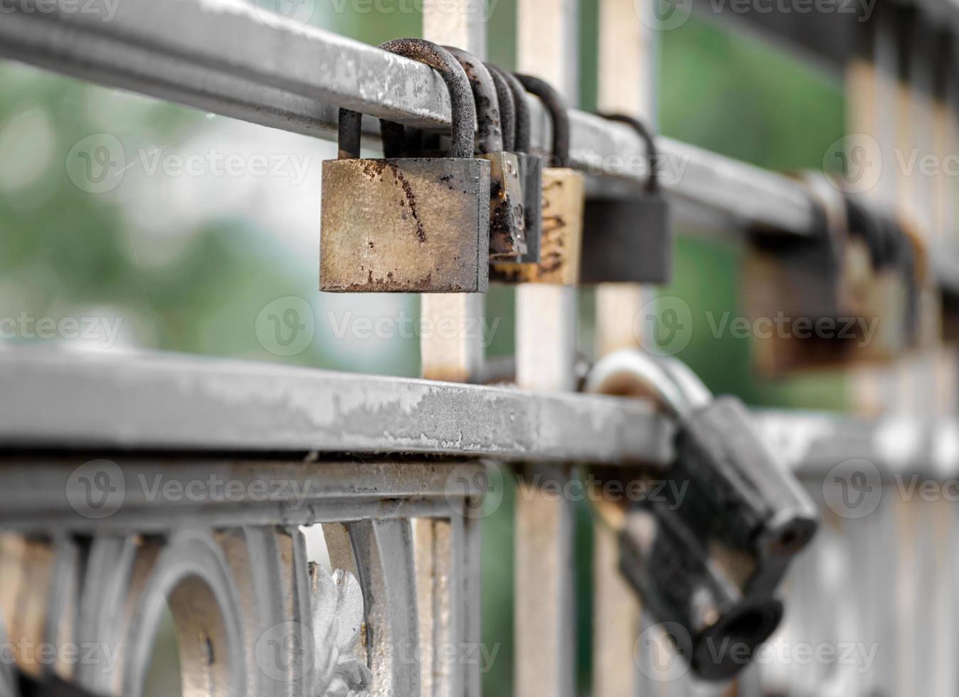 Padlocks on a gate photo