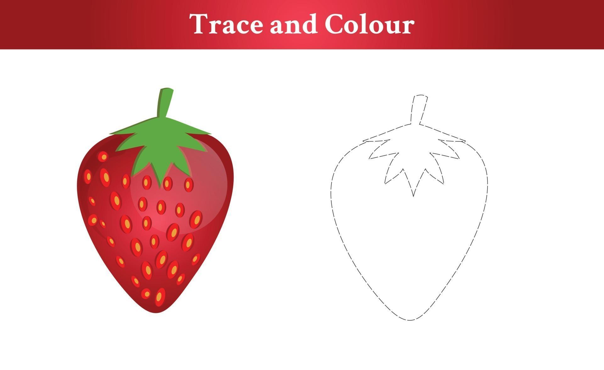 Trace and Color strawberry 2243178 Vector Art at Vecteezy