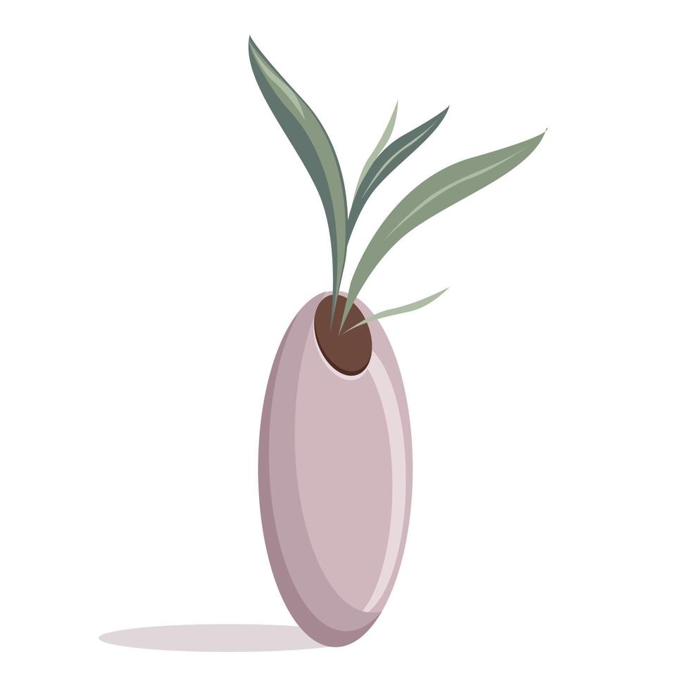 Home plant in a high pot vector