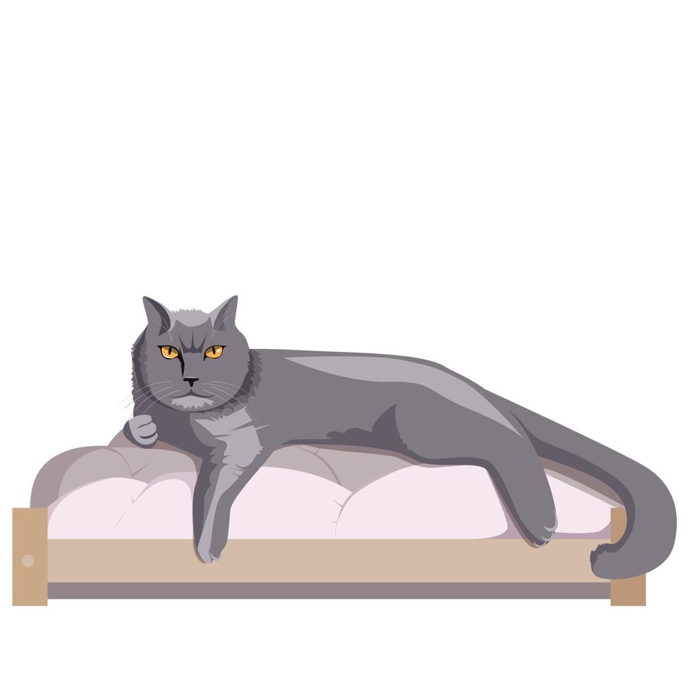 British cat lying in a comfortable cot vector