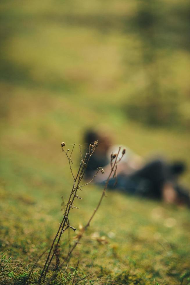 Flowers with couple in the background photo