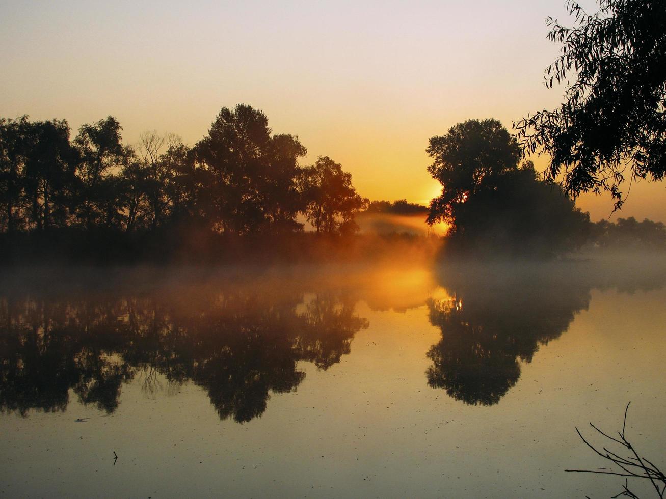 Fog and sunrise on the river photo
