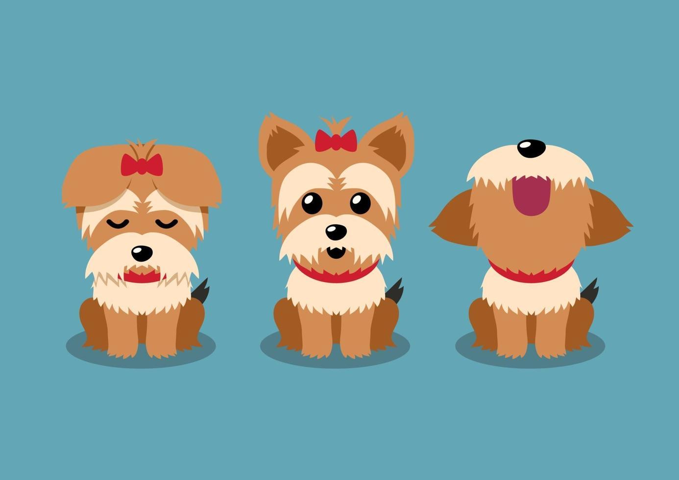 Cartoon character yorkshire terrier dog poses set vector