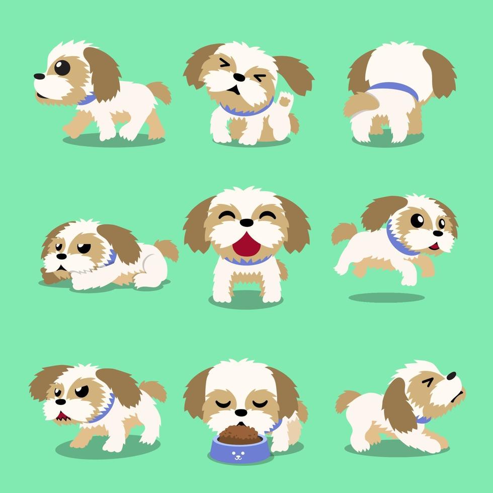 personaje de dibujos animados shih tzu poses de perro vector