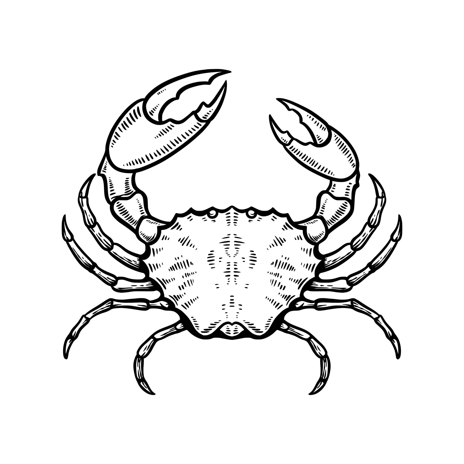 crab hand drawn vector illustration 2245768 Vector Art at Vecteezy