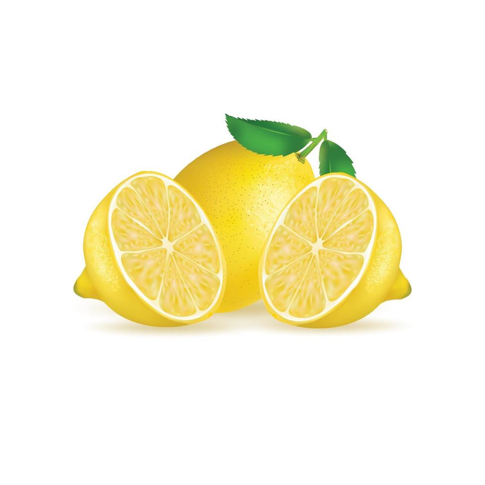 fresh lemon fruit isolated on white background. illustration realistic vector