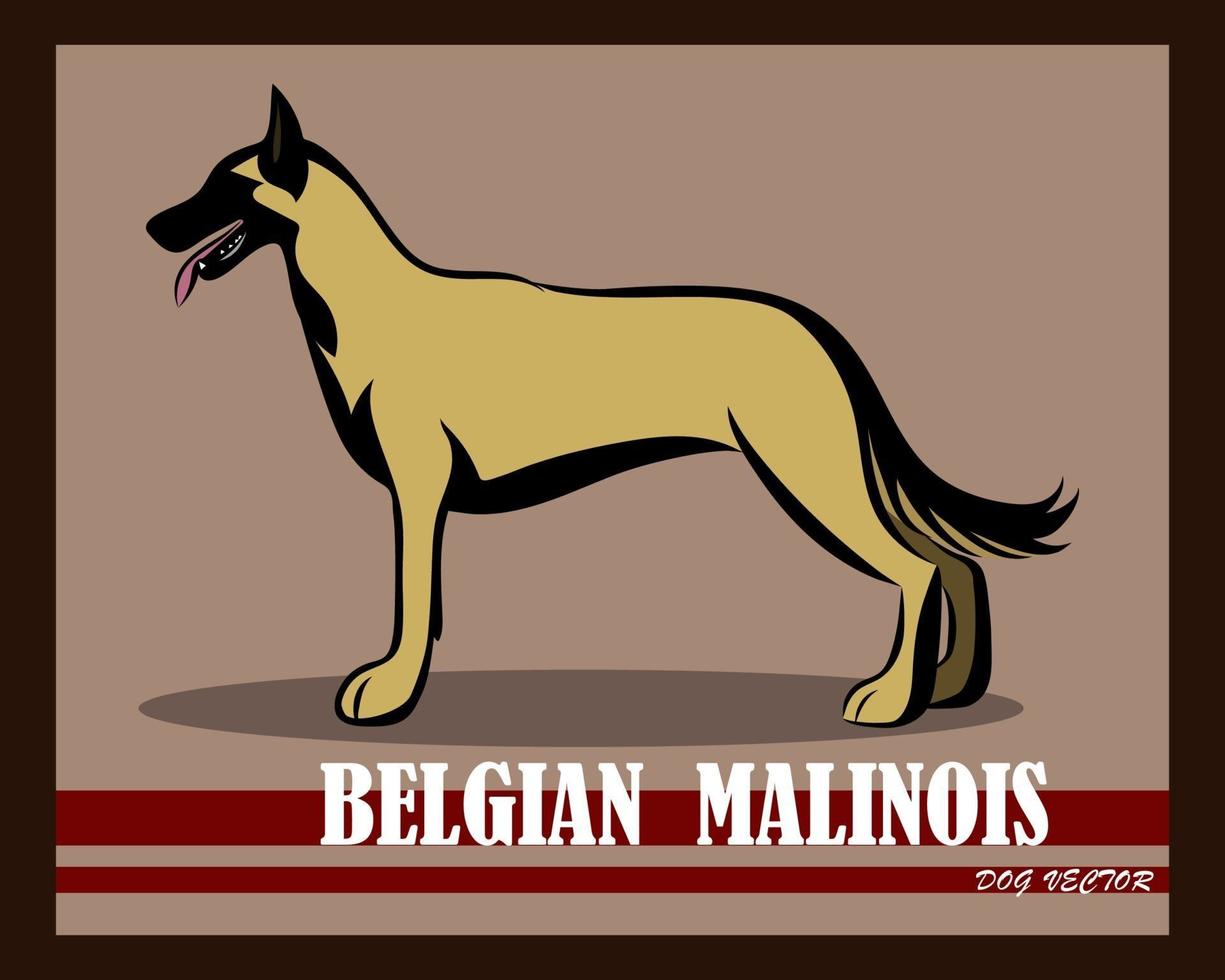 pastor belga malinois vector perro eps 10