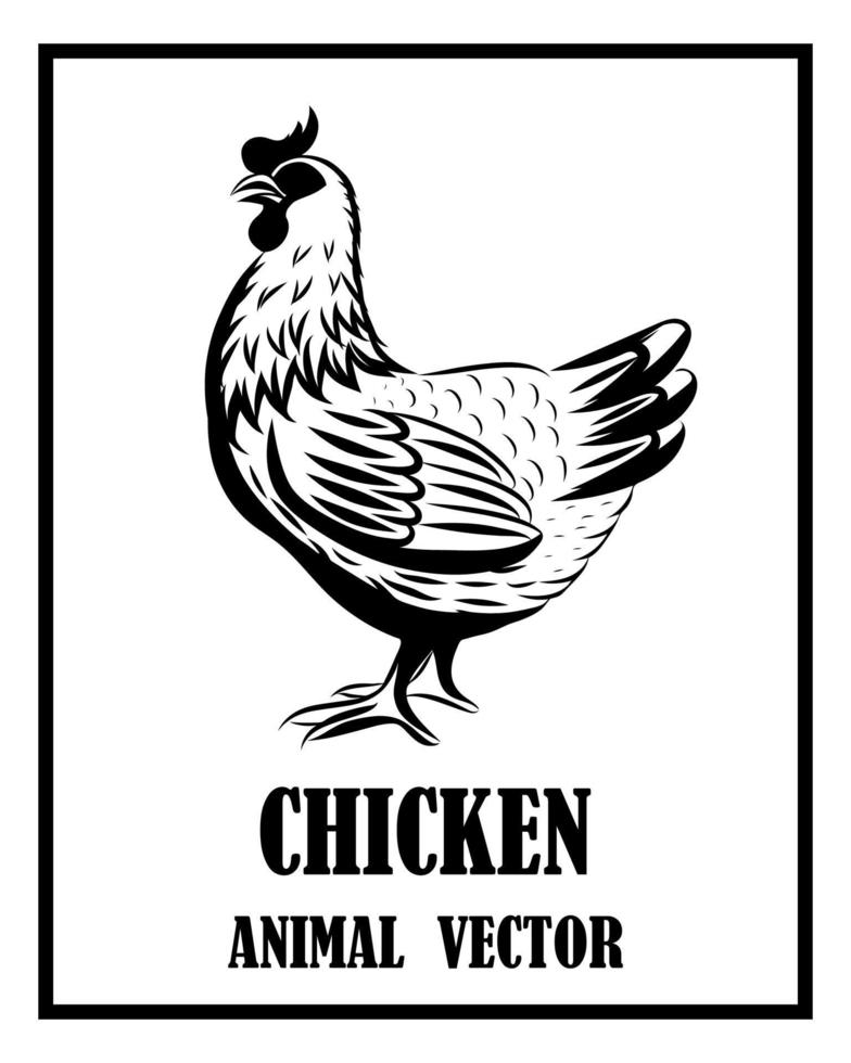 pollo animal vector eps 10