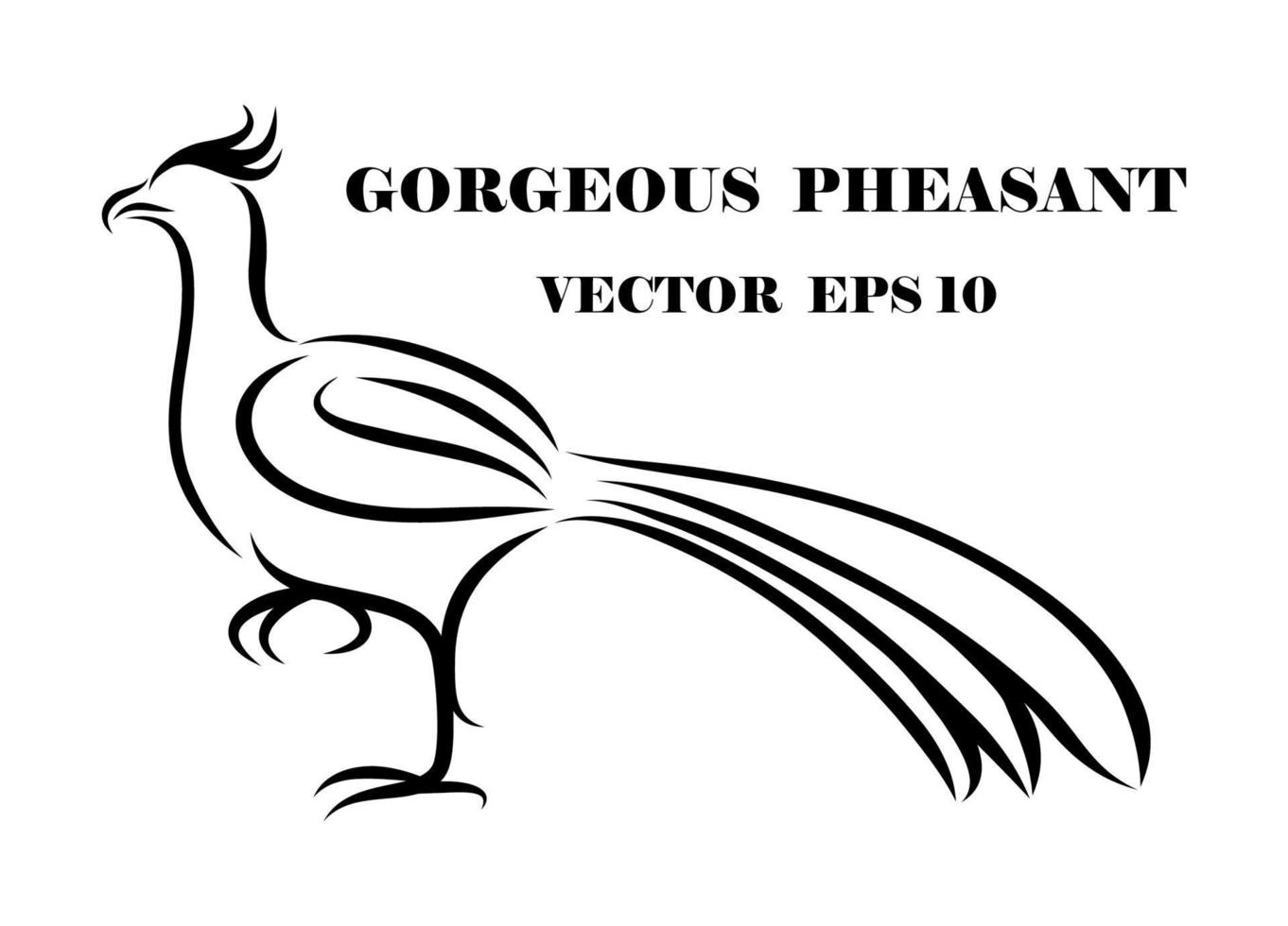 pheasant eps 10 vector