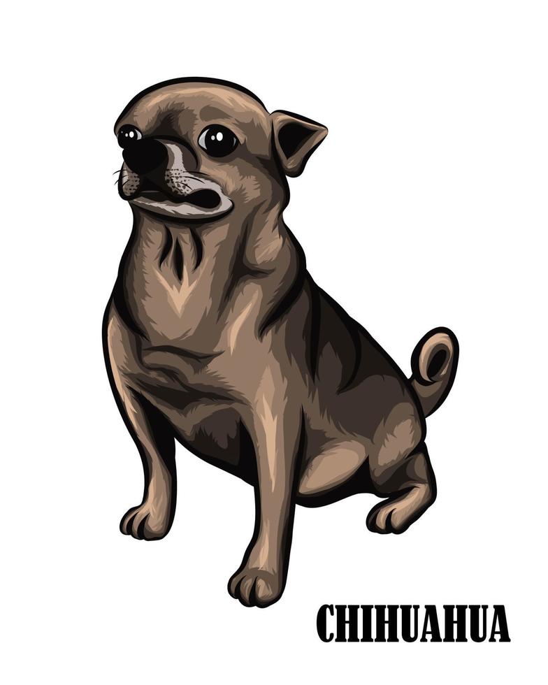 un perro chihuahua marrón eps 10 vector
