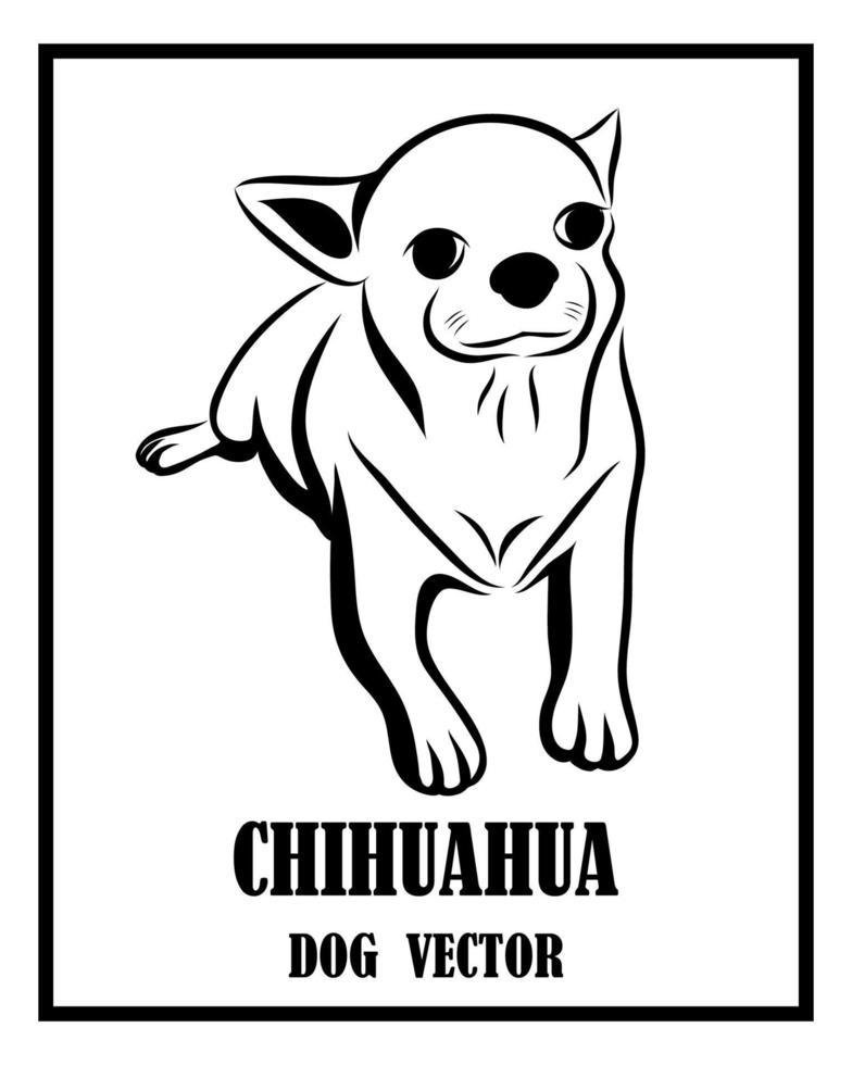 chihuahua, perro, blanco y negro, vector, eps, 10 vector